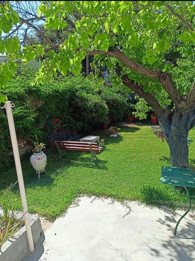 Finikas Rooms Agia Marina  Exterior foto