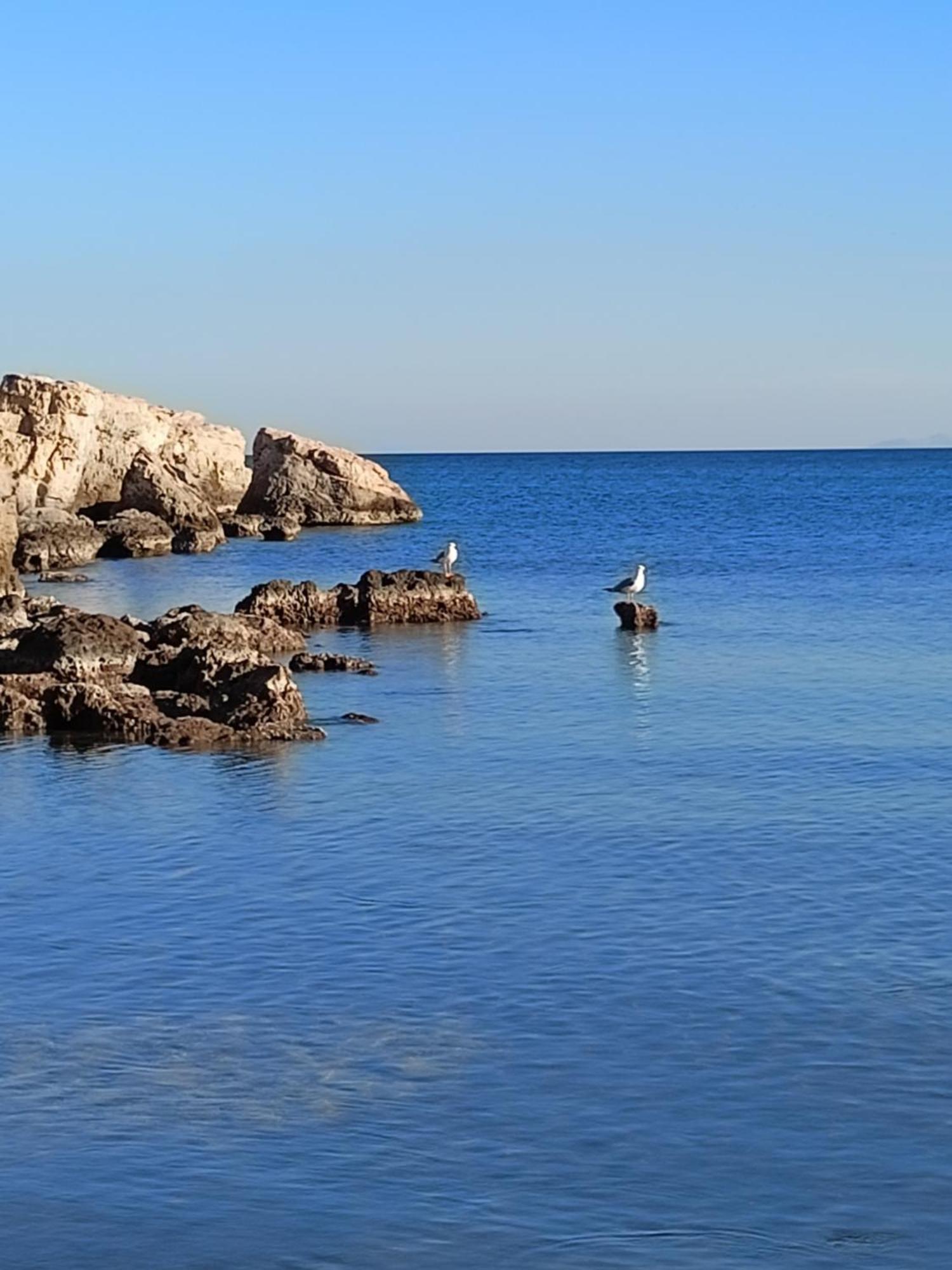 Finikas Rooms Agia Marina  Exterior foto