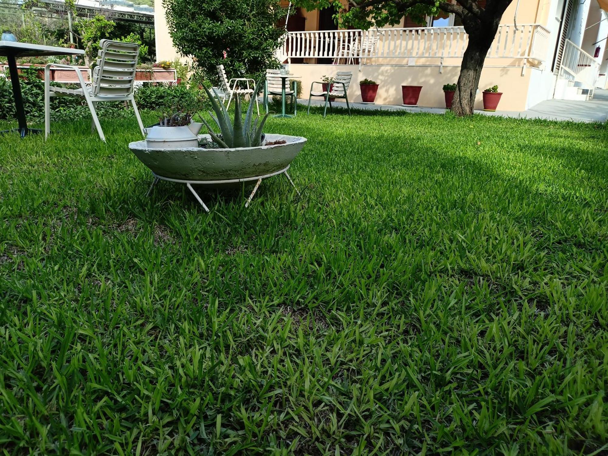 Finikas Rooms Agia Marina  Exterior foto